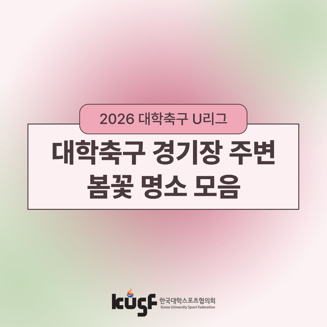20260418115030186139.jpg