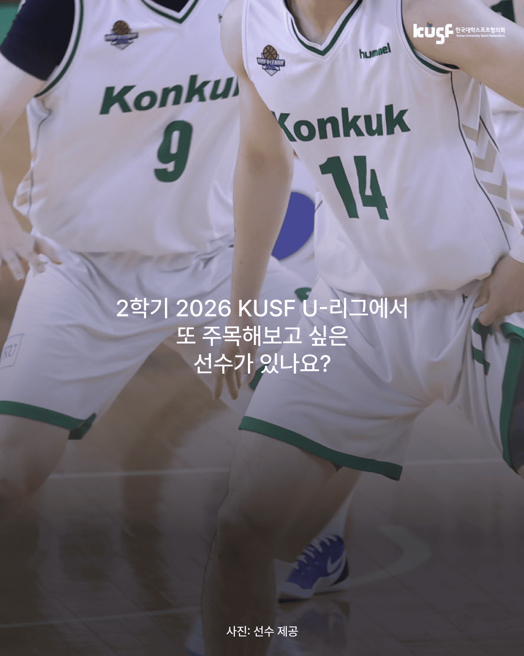 20260831175558423753.png
